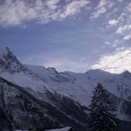 Chamonix-mont-blanc, 2 Pièces, 4 Personnes - Fr-1-517-1 Appartement *