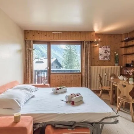 Chamonix-mont-blanc, 2 Pièces, 4 Personnes - Fr-1-517-1 Appartement Chamonix
